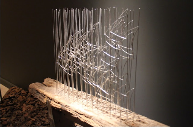 Küçük Balık Sürüsü