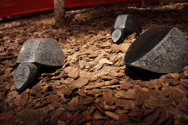 Jose Sancho - Erotik Doğa